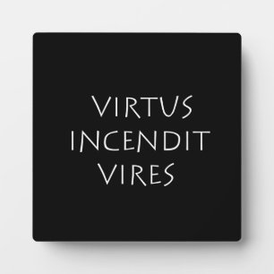 Virtus incendit vires fotoplaat