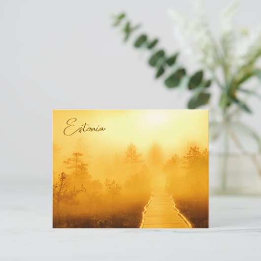 Viru Bog Golden Sunrise Briefkaart (Staand voorkant)
