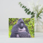 Virunga, Democratische Republiek Congo Reizen Briefkaart (Staand voorkant)