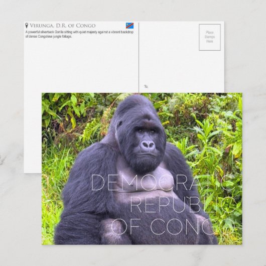 Virunga, Democratische Republiek Congo Reizen Briefkaart (Voorkant / Achterkant)