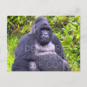Virunga, Democratische Republiek Congo Reizen Briefkaart (Voorkant)