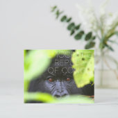 Virunga, Democratische Republiek Congo Reizen Briefkaart (Staand voorkant)