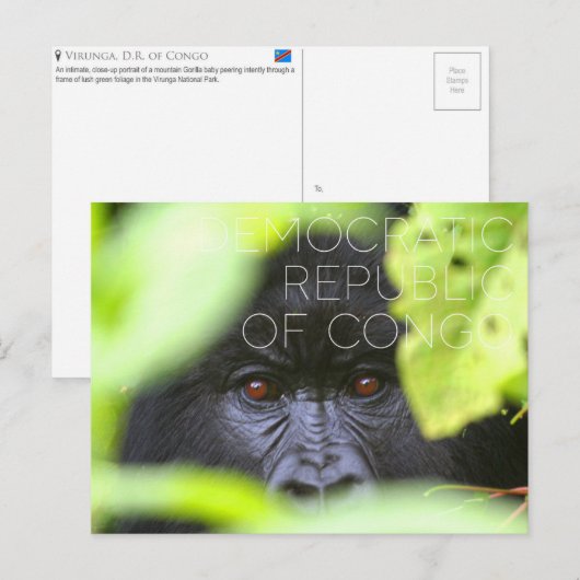 Virunga, Democratische Republiek Congo Reizen Briefkaart (Voorkant / Achterkant)