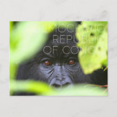 Virunga, Democratische Republiek Congo Reizen Briefkaart (Voorkant)