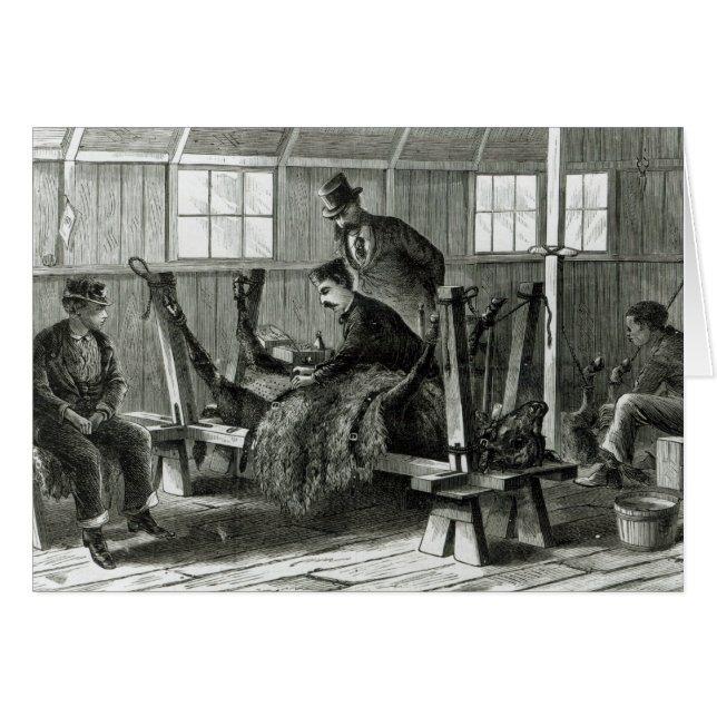 Virus uit het kalf halen (Voorkant Horizontaal)