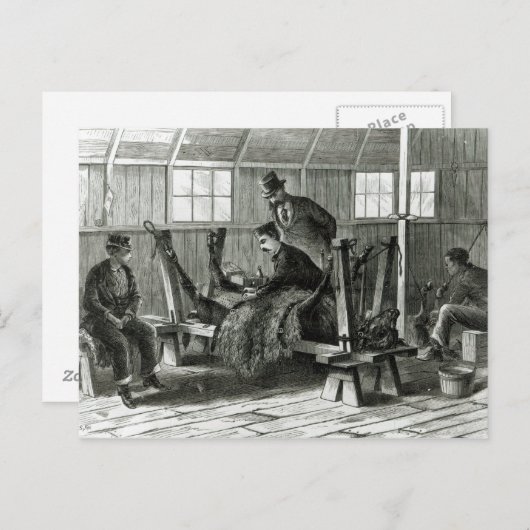 Virus uit het kalf halen briefkaart (Voorkant / Achterkant)