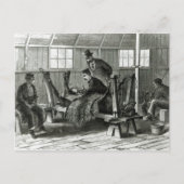 Virus uit het kalf halen briefkaart (Voorkant)