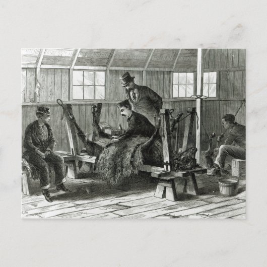 Virus uit het kalf halen briefkaart (Voorkant)