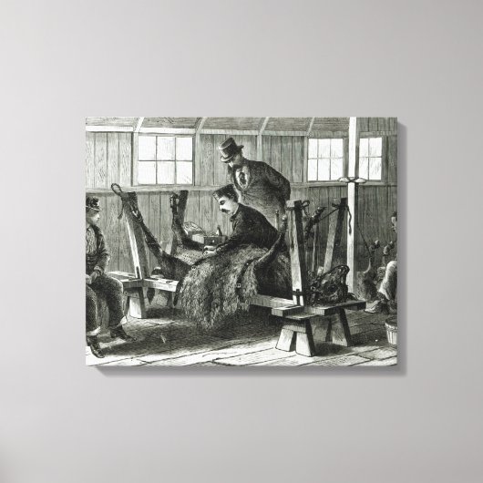 Virus uit het kalf halen canvas afdruk (Voorkant)