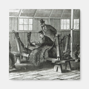 Virus uit het kalf halen magneet