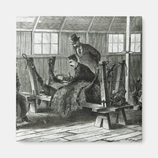 Virus uit het kalf halen magneet (Voorkant)