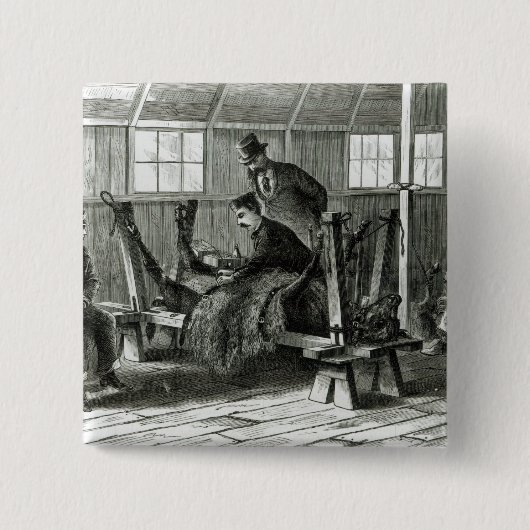 Virus uit het kalf halen vierkante button 5,1 cm (Voorkant)