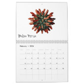 Virussen en andere slechte jongens kalender (Feb 2026)