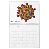 Virussen en andere slechte jongens kalender (Jan 2027)