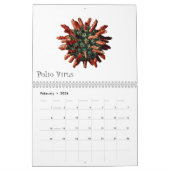 Virussen en andere slechte jongens kalender (Feb 2026)