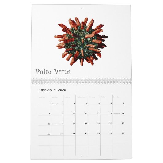 Virussen en andere slechte jongens kalender (Feb 2026)