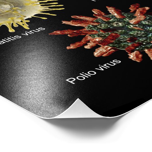 Virussen Foto Afdruk (Hoek)