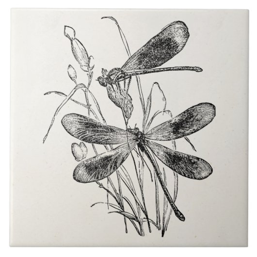 virustypering van de Maagd Dragonfly - Gepersonal Tegeltje (Voorkant)