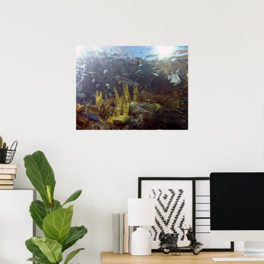 Vis2 Poster (Thuiskantoor)