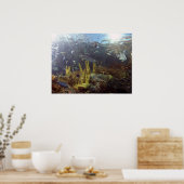 Vis2 Poster (Keuken)