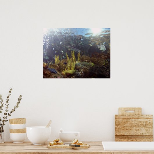 Vis2 Poster (Keuken)