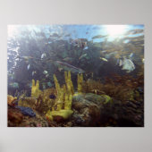 Vis2 Poster (Voorkant)