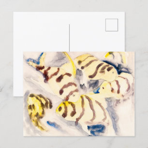 vis 3   Charles Demuth   Briefkaart