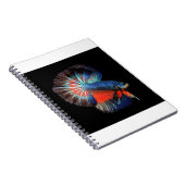 vis-5115102_1280 notitieboek (Rechterzijde)