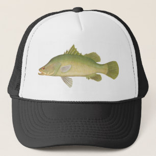 Vis - Barramundi - Lates calcarifer Trucker Pet
