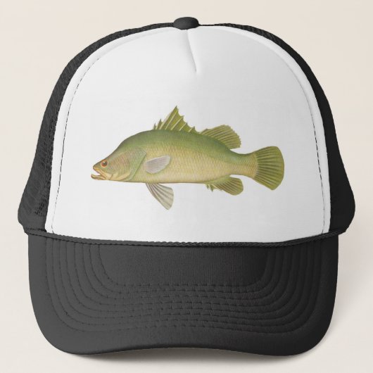 Vis - Barramundi - Lates calcarifer Trucker Pet (Voorkant)