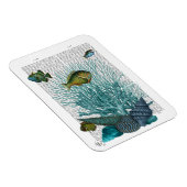 Vis, blauwe schalen en koralen magneet (Rechterzijde)