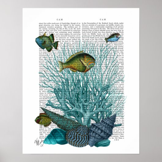 Vis, blauwe schalen en koralen poster (Voorkant)