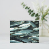 vis briefkaart (Staand voorkant)