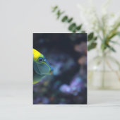 vis briefkaart (Staand voorkant)