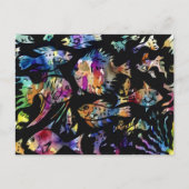 vis briefkaart (Voorkant)