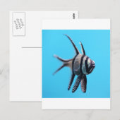 vis briefkaart (Voorkant / Achterkant)