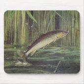 Vis - Bruine forel - Salmo trutta Muismat (Voorkant)