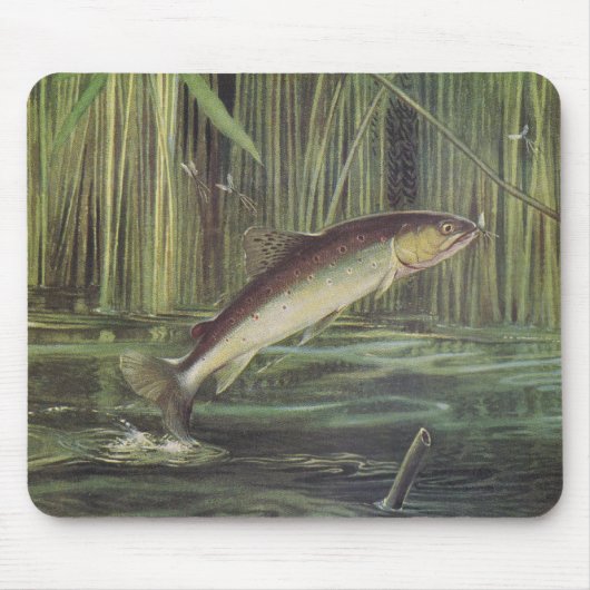 Vis - Bruine forel - Salmo trutta Muismat (Voorkant)