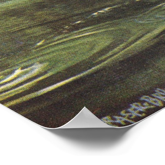 Vis - Bruine forel - Salmo trutta Poster (Hoek)