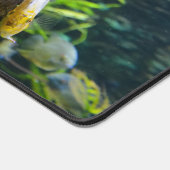 VIS BUREAUMAT (Hoek)