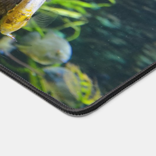 VIS BUREAUMAT (Hoek)