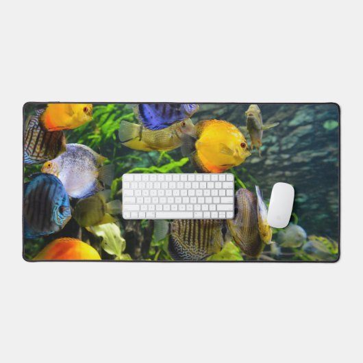 VIS BUREAUMAT (Keyboard & Muis)