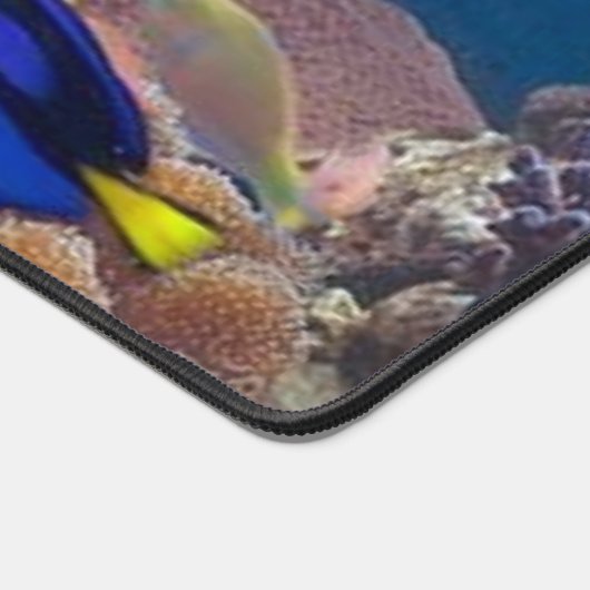 VIS BUREAUMAT (Hoek)