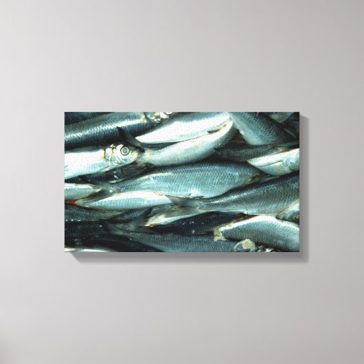 vis canvas afdruk (Voorkant)