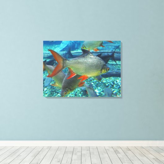 Vis Canvas Afdruk (Insitu (Houten vloer))