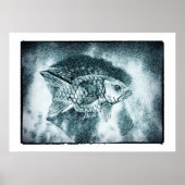 Vis - digi & foto-inktkunst (Poster) Poster (Voorkant)