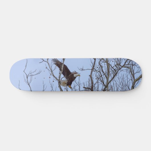 Vis Diner Levering Schilderachtige Skateboard (Horizontaal)