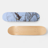 Vis Diner Levering Schilderachtige Skateboard (Horizontaal)