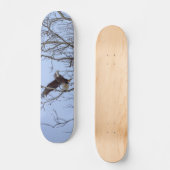 Vis Diner Levering Schilderachtige Skateboard (Voorkant)