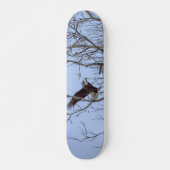 Vis Diner Levering Schilderachtige Skateboard (Voorkant)